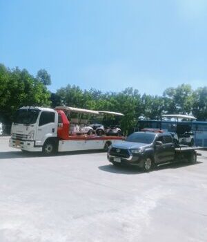 IMG20241130124201