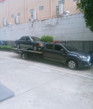 IMG20241213110937