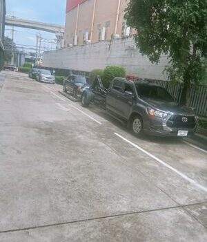 IMG20241213111208