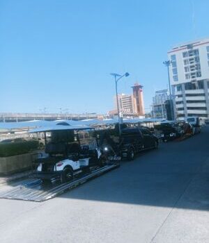 IMG20241130122217