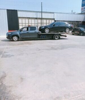 IMG20250104134127