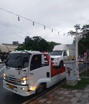 1000003618